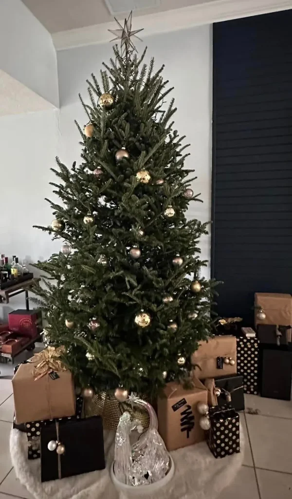 Decorated Fraser Fir with presents in a living room