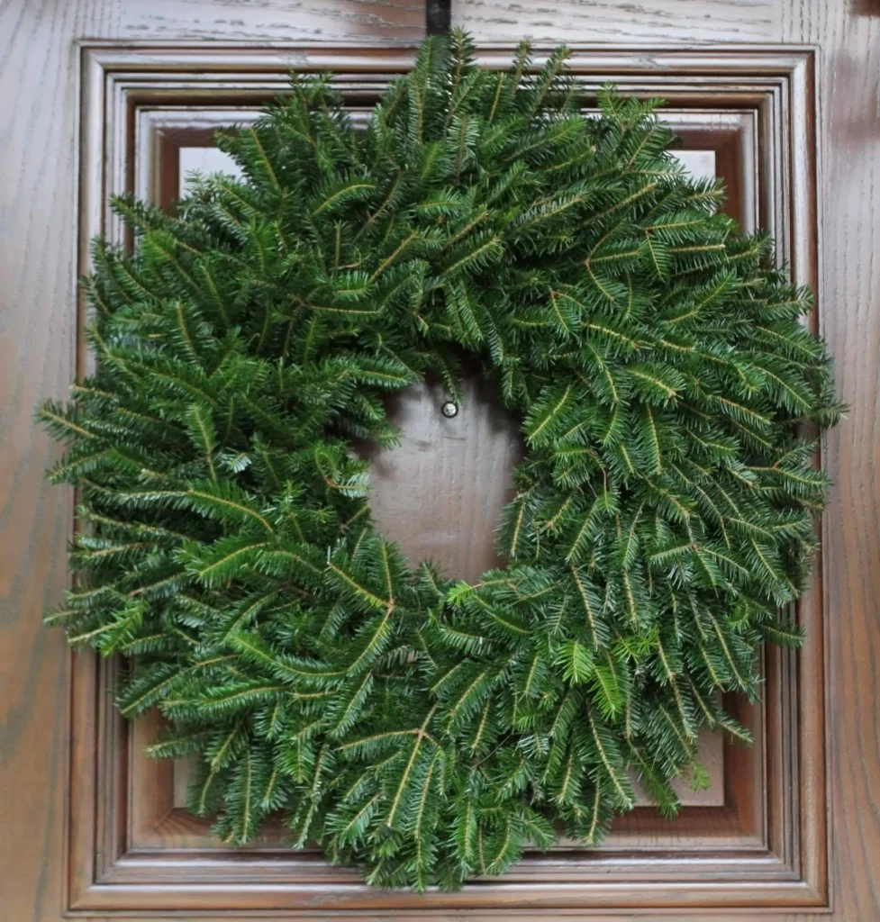 A large fresh Christmas wreath of Fraser Fir hanging on a wooden door