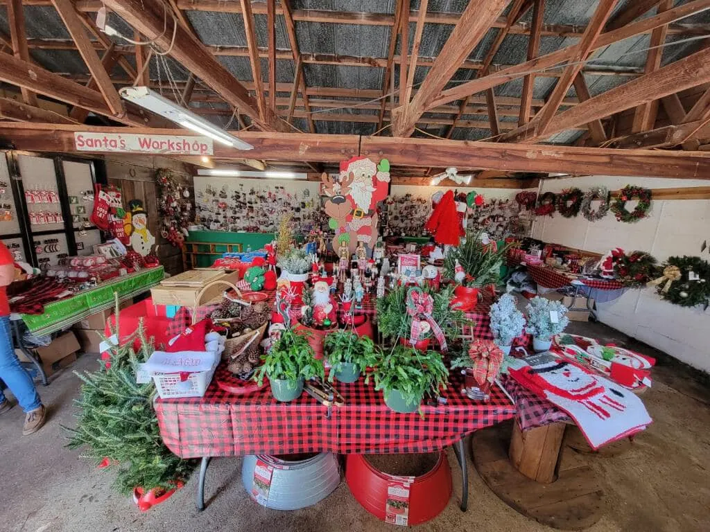 Gift barn with Christmas cacti, Santa figures and holiday gifts
