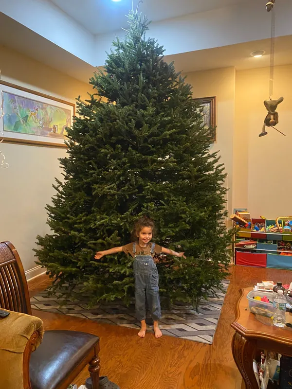 Little girl with arms spread in front of her Fraser Fir at home