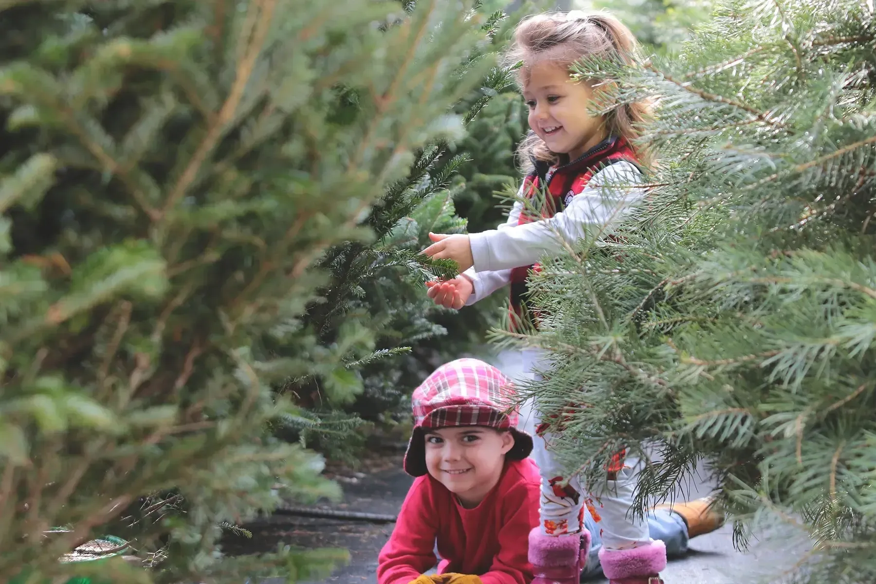 Two young girls in winter hats smiling among the Christmas trees