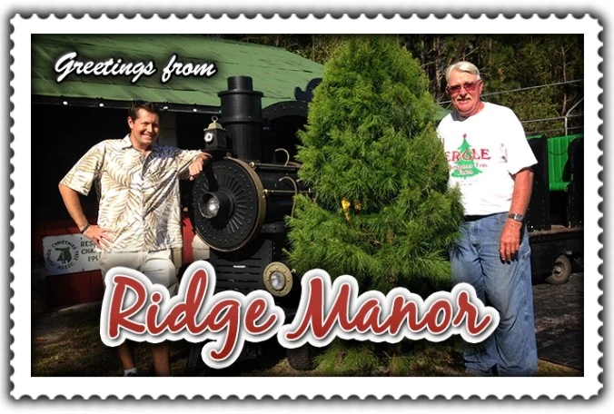 Greetings from Ridge Manor postcard with two men beside the farm train and a Christmas tree
